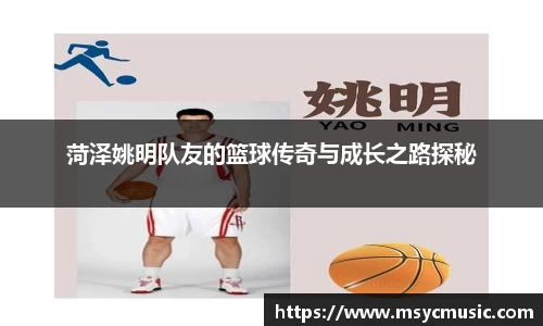 伟德bv国际