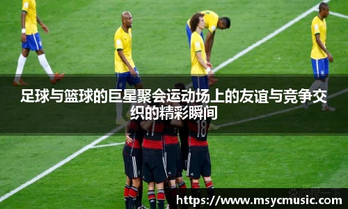 伟德bv国际体育